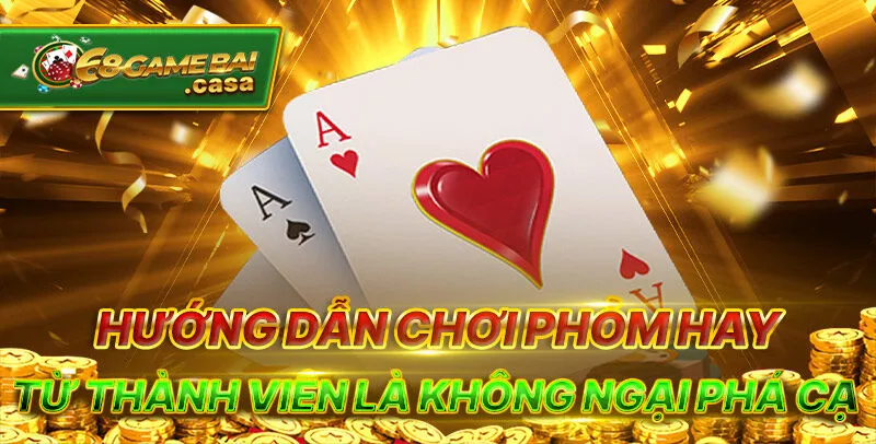 Hướng dẫn chơi phỏm từ A - Z cho newbie tham gia 3 Hướng dẫn chơi phỏm hay từ thành viên là không ngại phá cạ
