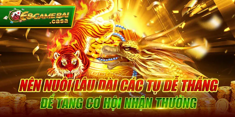 Mẹo chơi rồng hổ bất bại thắng ngay trong lần đầu tiên 1 Nên nuôi lâu dài các tụ dễ thắng để tăng cơ hội nhận thưởng