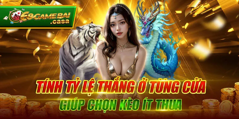 Rồng hổ và tất tần tật thông tin liên quan cho newbie 3 Tính tỷ lệ thắng ở từng cửa giúp chọn kèo ít thua